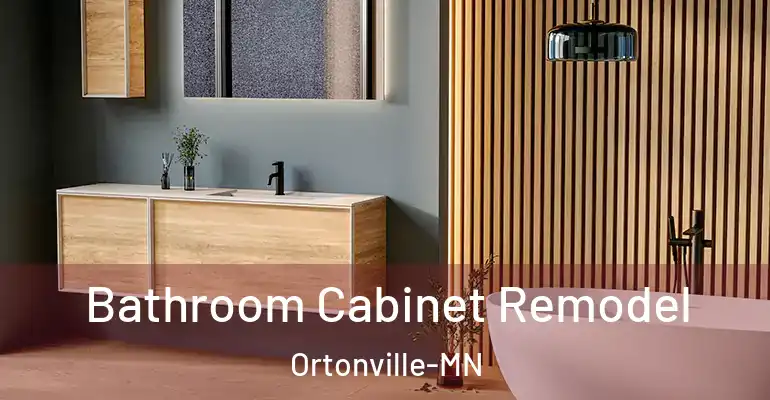 inner Bathroom imggen Bathroom Cabinet Remodel Ortonville-MN