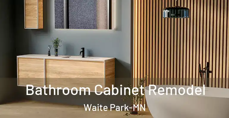 inner Bathroom imggen Bathroom Cabinet Remodel Waite Park-MN