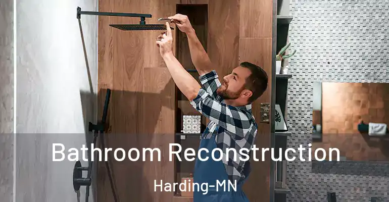 inner Bathroom imggen Bathroom Reconstruction Harding-MN