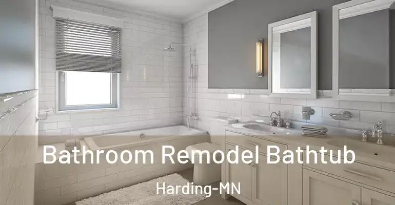 inner Bathroom imggen Bathroom Remodel Bathtub Harding-MN