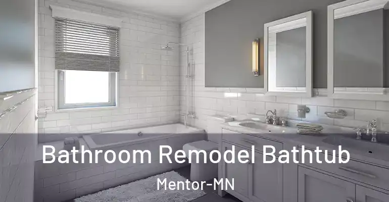 inner Bathroom imggen Bathroom Remodel Bathtub Mentor-MN