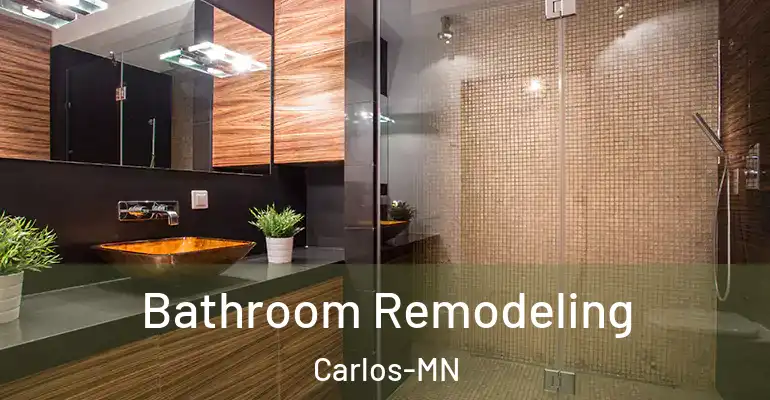 inner Bathroom imggen Bathroom Remodeling Carlos-MN