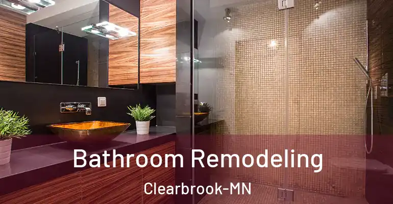 inner Bathroom imggen Bathroom Remodeling Clearbrook-MN