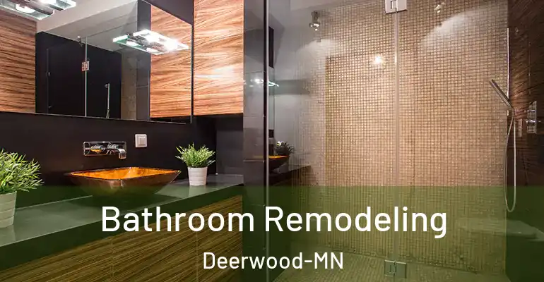 inner Bathroom imggen Bathroom Remodeling Deerwood-MN