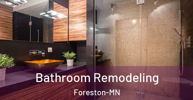inner Bathroom imggen Bathroom Remodeling Foreston-MN
