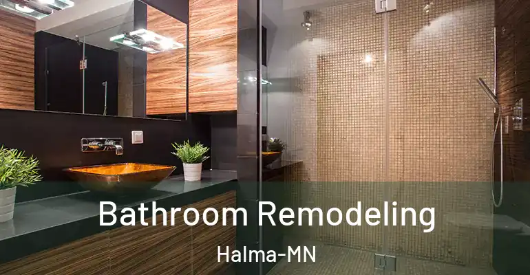inner Bathroom imggen Bathroom Remodeling Halma-MN