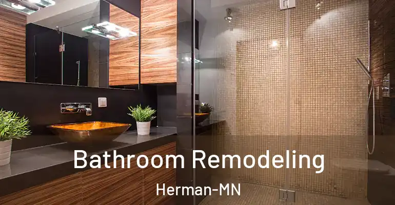 inner Bathroom imggen Bathroom Remodeling Herman-MN