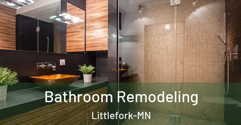 inner Bathroom imggen Bathroom Remodeling Littlefork-MN