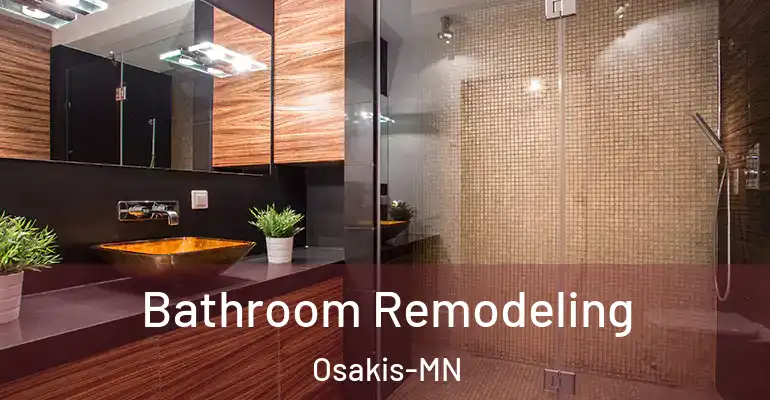 inner Bathroom imggen Bathroom Remodeling Osakis-MN