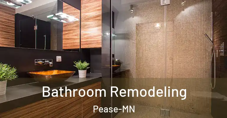 inner Bathroom imggen Bathroom Remodeling Pease-MN