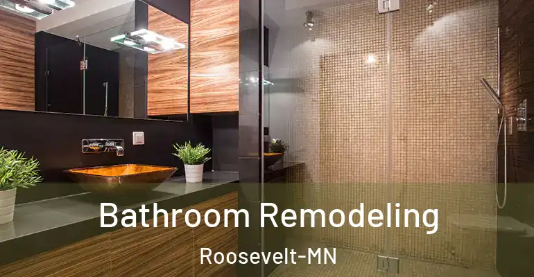 inner Bathroom imggen Bathroom Remodeling Roosevelt-MN