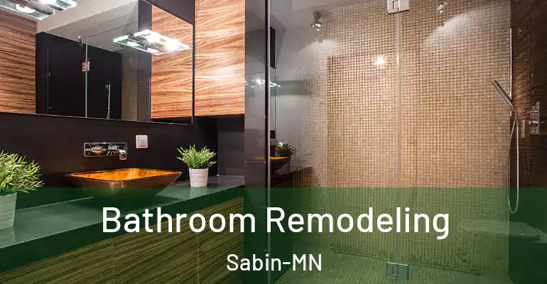 inner Bathroom imggen Bathroom Remodeling Sabin-MN