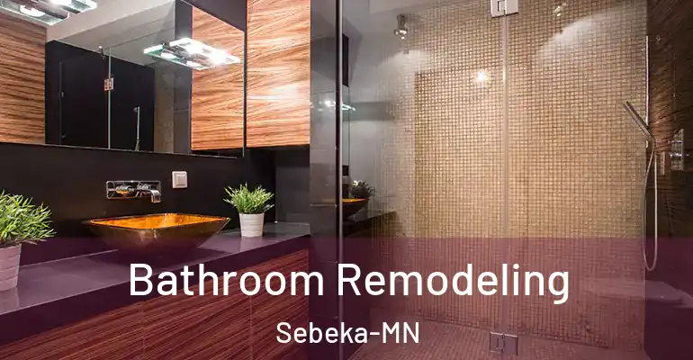 inner Bathroom imggen Bathroom Remodeling Sebeka-MN