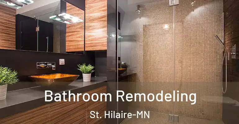 inner Bathroom imggen Bathroom Remodeling St. Hilaire-MN