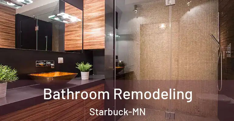 inner Bathroom imggen Bathroom Remodeling Starbuck-MN