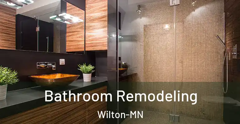 inner Bathroom imggen Bathroom Remodeling Wilton-MN
