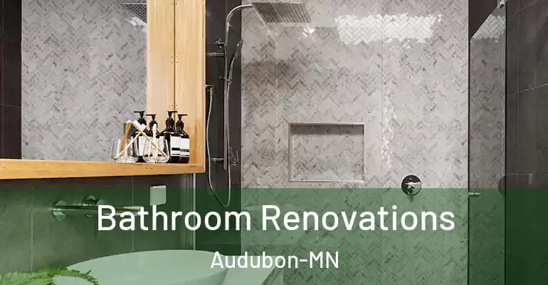 inner Bathroom imggen Bathroom Renovations Audubon-MN