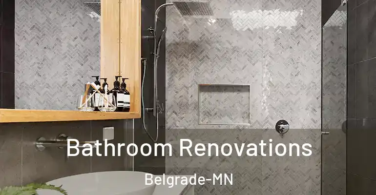 inner Bathroom imggen Bathroom Renovations Belgrade-MN