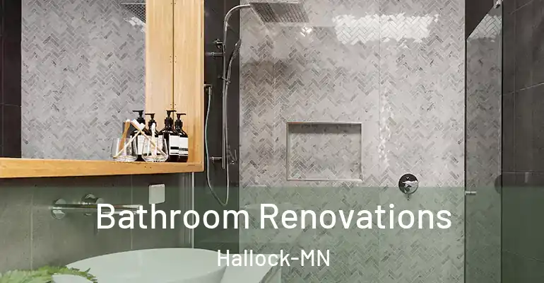 inner Bathroom imggen Bathroom Renovations Hallock-MN