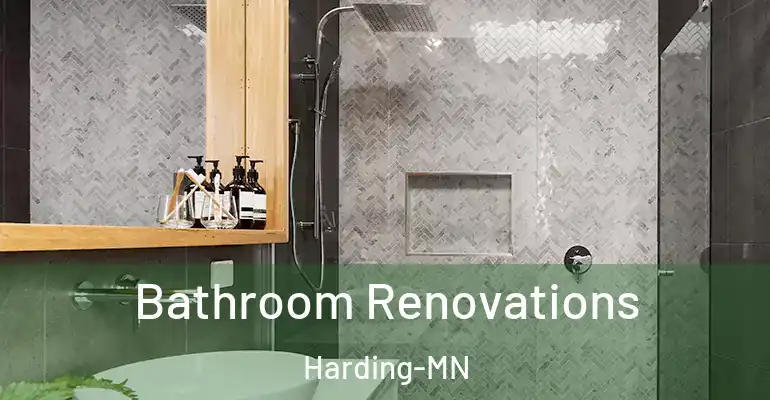 inner Bathroom imggen Bathroom Renovations Harding-MN