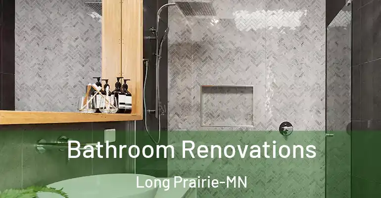 inner Bathroom imggen Bathroom Renovations Long Prairie-MN