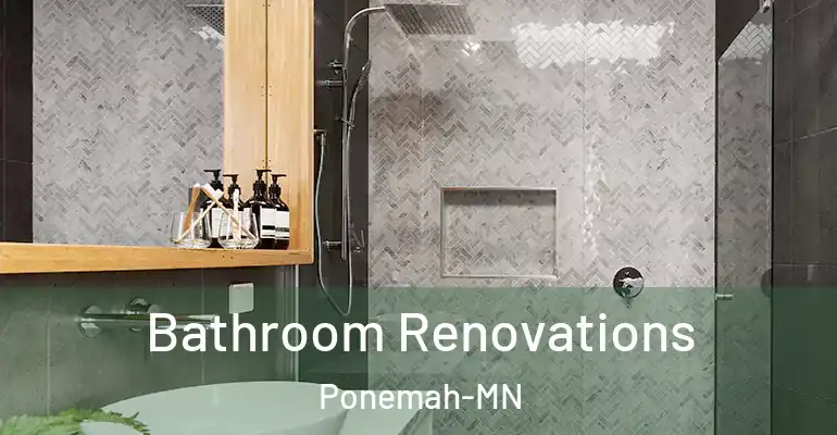 inner Bathroom imggen Bathroom Renovations Ponemah-MN