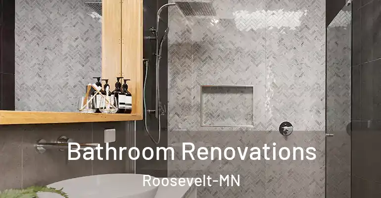 inner Bathroom imggen Bathroom Renovations Roosevelt-MN