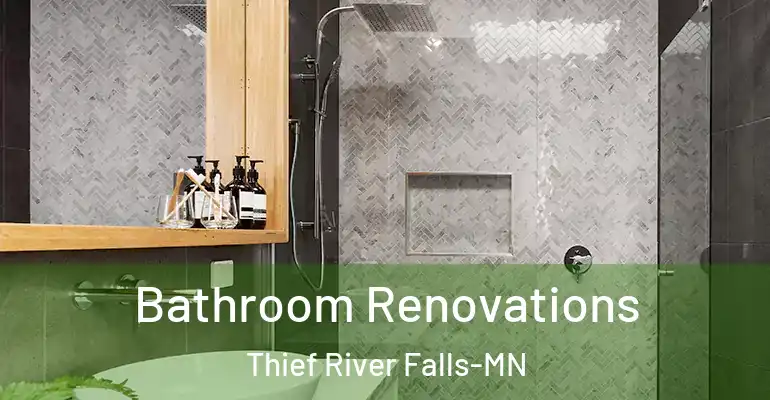 inner Bathroom imggen Bathroom Renovations Thief River Falls-MN