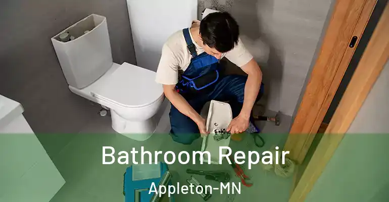 inner Bathroom imggen Bathroom Repair Appleton-MN