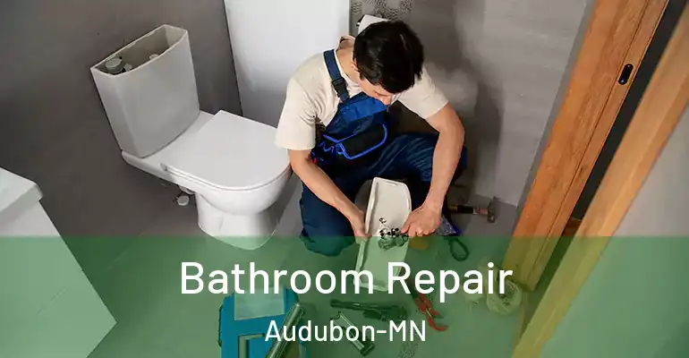 inner Bathroom imggen Bathroom Repair Audubon-MN