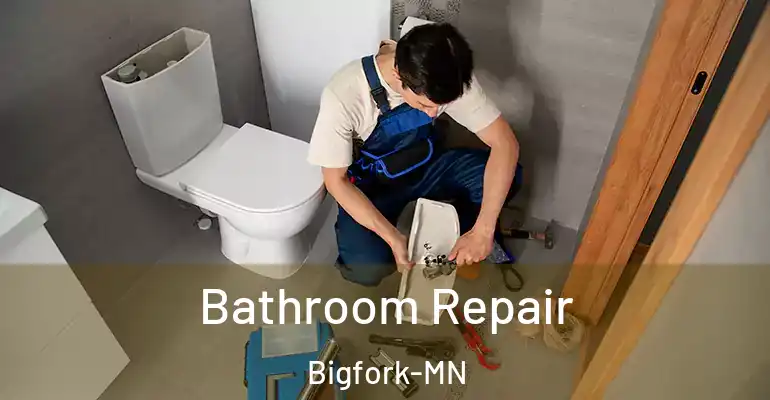 inner Bathroom imggen Bathroom Repair Bigfork-MN