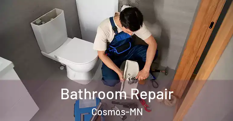 inner Bathroom imggen Bathroom Repair Cosmos-MN
