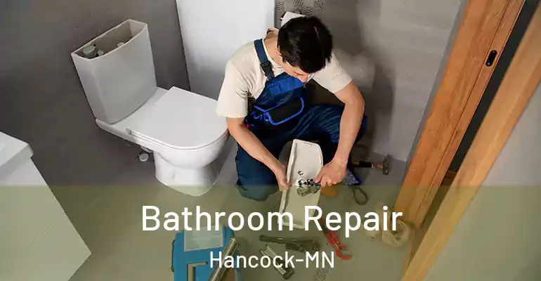 inner Bathroom imggen Bathroom Repair Hancock-MN