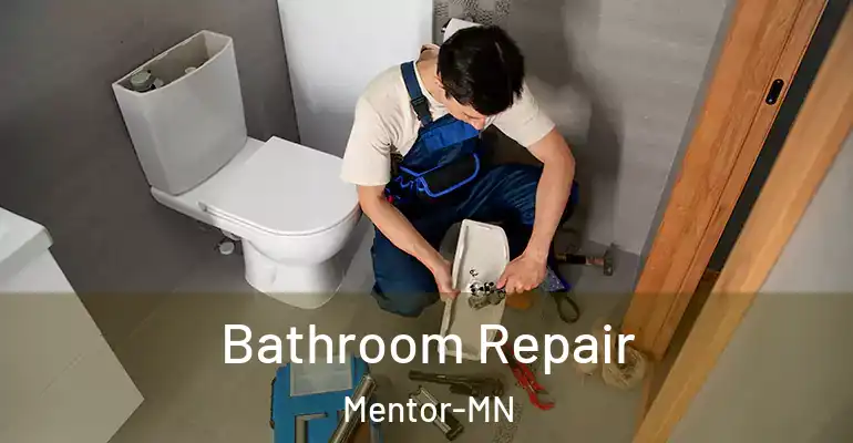 inner Bathroom imggen Bathroom Repair Mentor-MN
