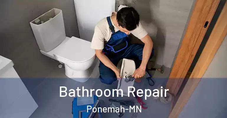 inner Bathroom imggen Bathroom Repair Ponemah-MN