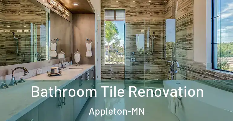 inner Bathroom imggen Bathroom Tile Renovation Appleton-MN