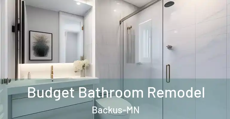 inner Bathroom imggen Budget Bathroom Remodel Backus-MN