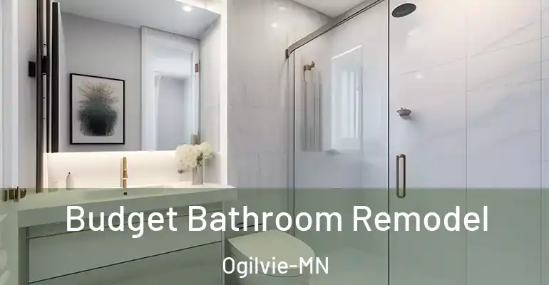 inner Bathroom imggen Budget Bathroom Remodel Ogilvie-MN