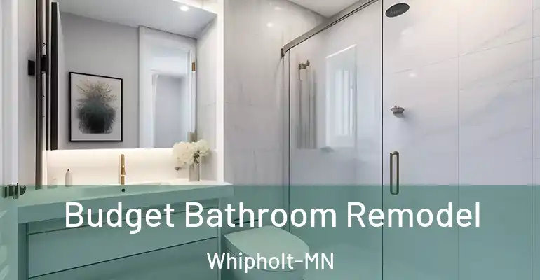 inner Bathroom imggen Budget Bathroom Remodel Whipholt-MN