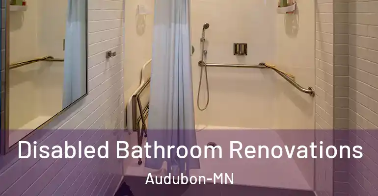 inner Bathroom imggen Disabled Bathroom Renovations Audubon-MN
