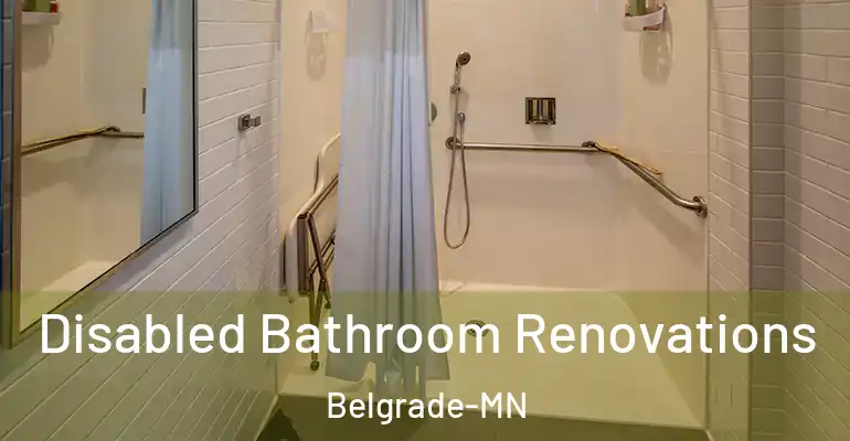 inner Bathroom imggen Disabled Bathroom Renovations Belgrade-MN