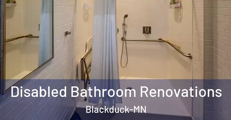 inner Bathroom imggen Disabled Bathroom Renovations Blackduck-MN