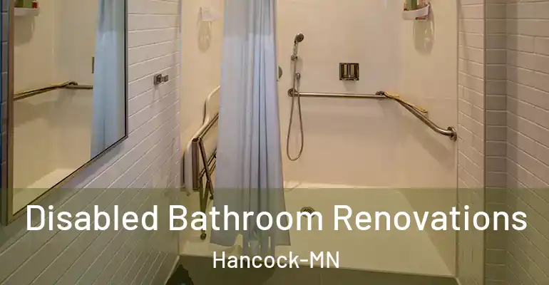 inner Bathroom imggen Disabled Bathroom Renovations Hancock-MN