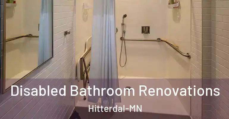 inner Bathroom imggen Disabled Bathroom Renovations Hitterdal-MN