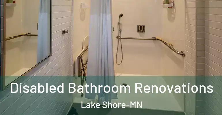 inner Bathroom imggen Disabled Bathroom Renovations Lake Shore-MN