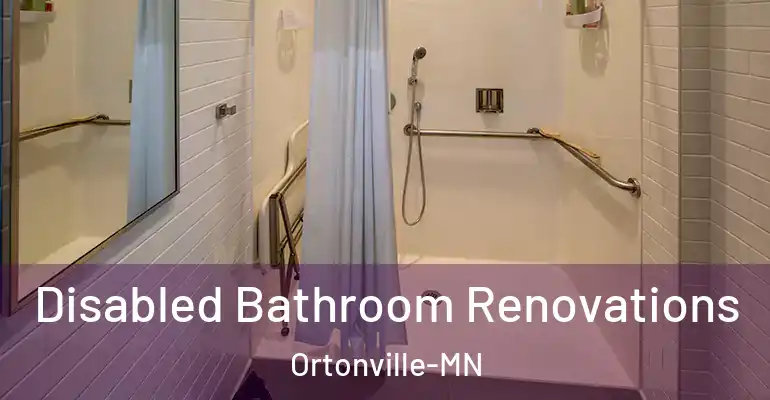 inner Bathroom imggen Disabled Bathroom Renovations Ortonville-MN