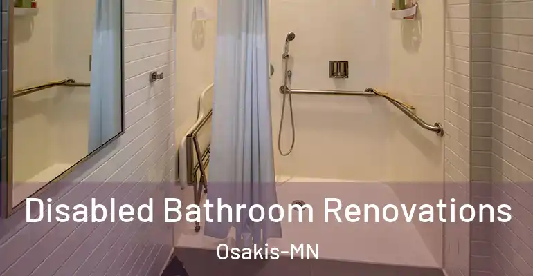 inner Bathroom imggen Disabled Bathroom Renovations Osakis-MN