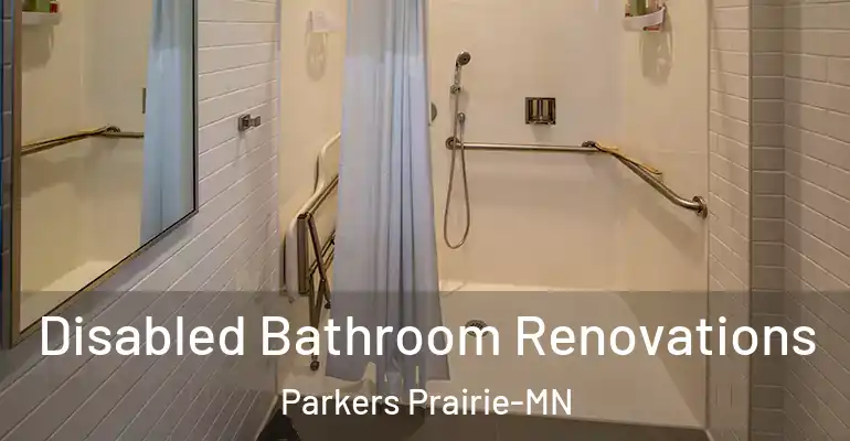 inner Bathroom imggen Disabled Bathroom Renovations Parkers Prairie-MN