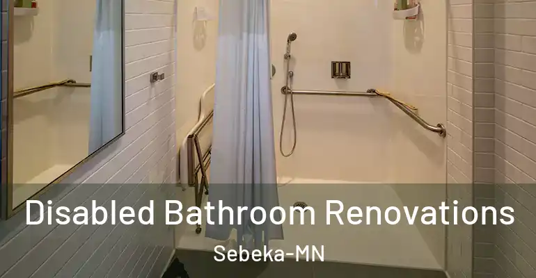 inner Bathroom imggen Disabled Bathroom Renovations Sebeka-MN