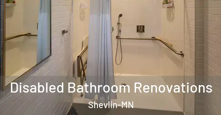 inner Bathroom imggen Disabled Bathroom Renovations Shevlin-MN